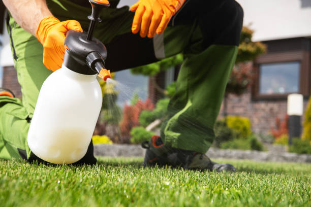 Best Emergency Pest Control  in El Reno, OK