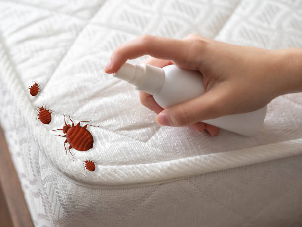 Best Pest Inspection Near Me  in El Reno, OK