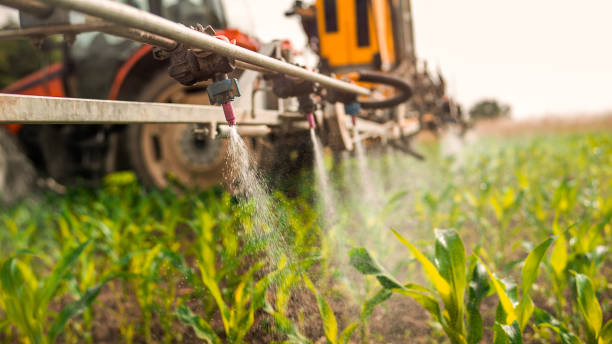 Best Best Pest Control Companies  in El Reno, OK